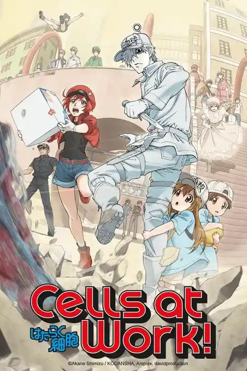 Download Cells at Work! (Season 1) Multi Audio {Hindi English Japanese} Anime Series 480p 720p & 1080p Blu Ray 16 cells at work season 1