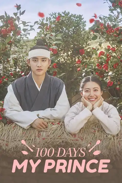 Download 100 Days My Prince (Season 1) Dual Audio {Hindi Korean} Series 480P 720P & 1080P Web Dl 3 100 days my prince season 1